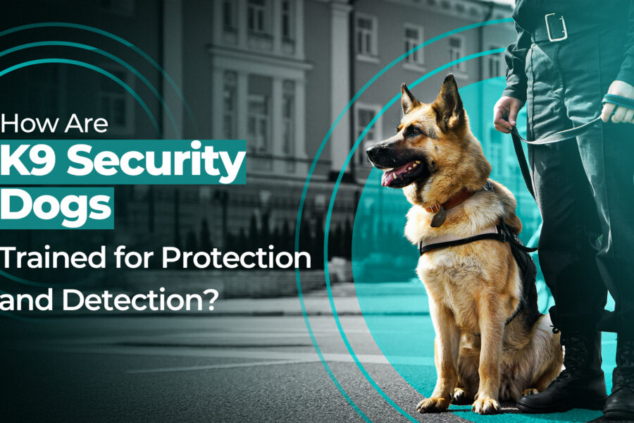 best-k9-security-dogs-services