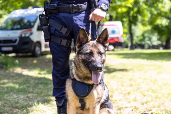 k9-security-dogs-services-uk