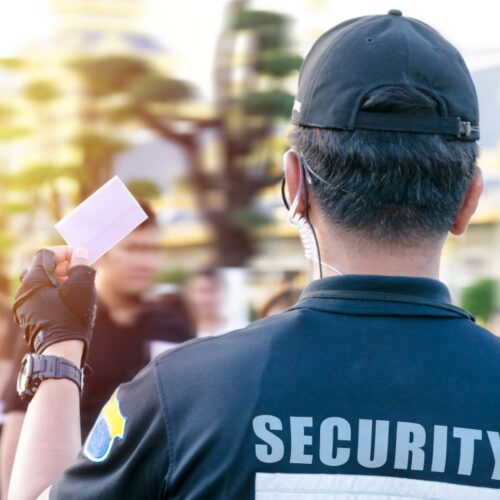 male-security-guard-doing-event-security